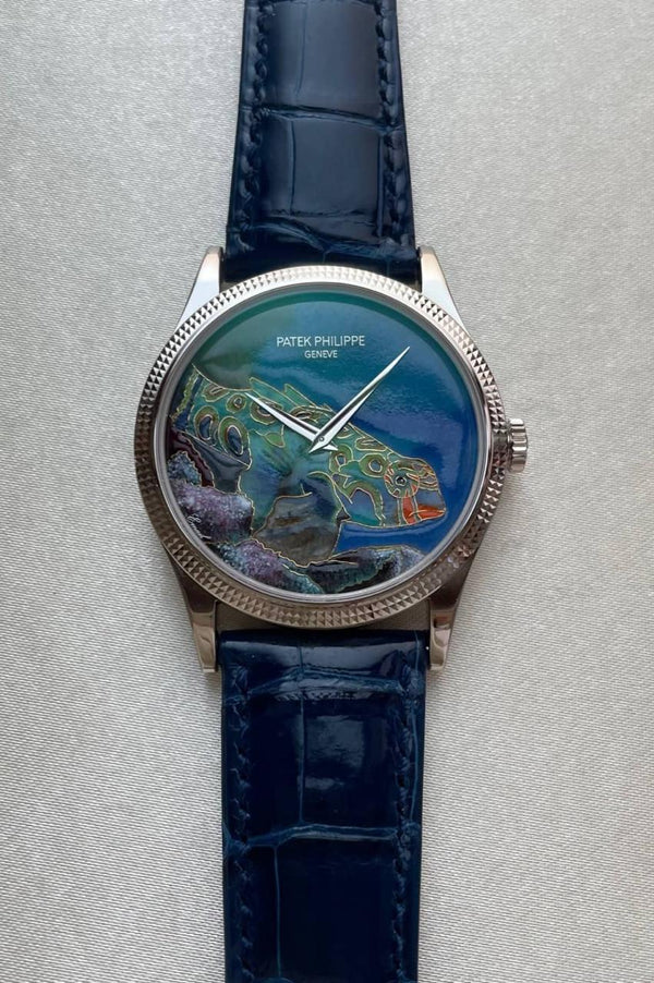 Patek Philippe 5177G-013 Rare Handcrafts “Italian Scenes / Tropical Fish“ Enamel