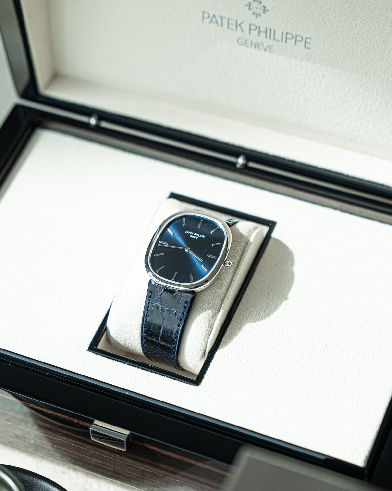 Patek Philippe Golden Ellipse 5738P-001  Platinum Blue Dial 34mm