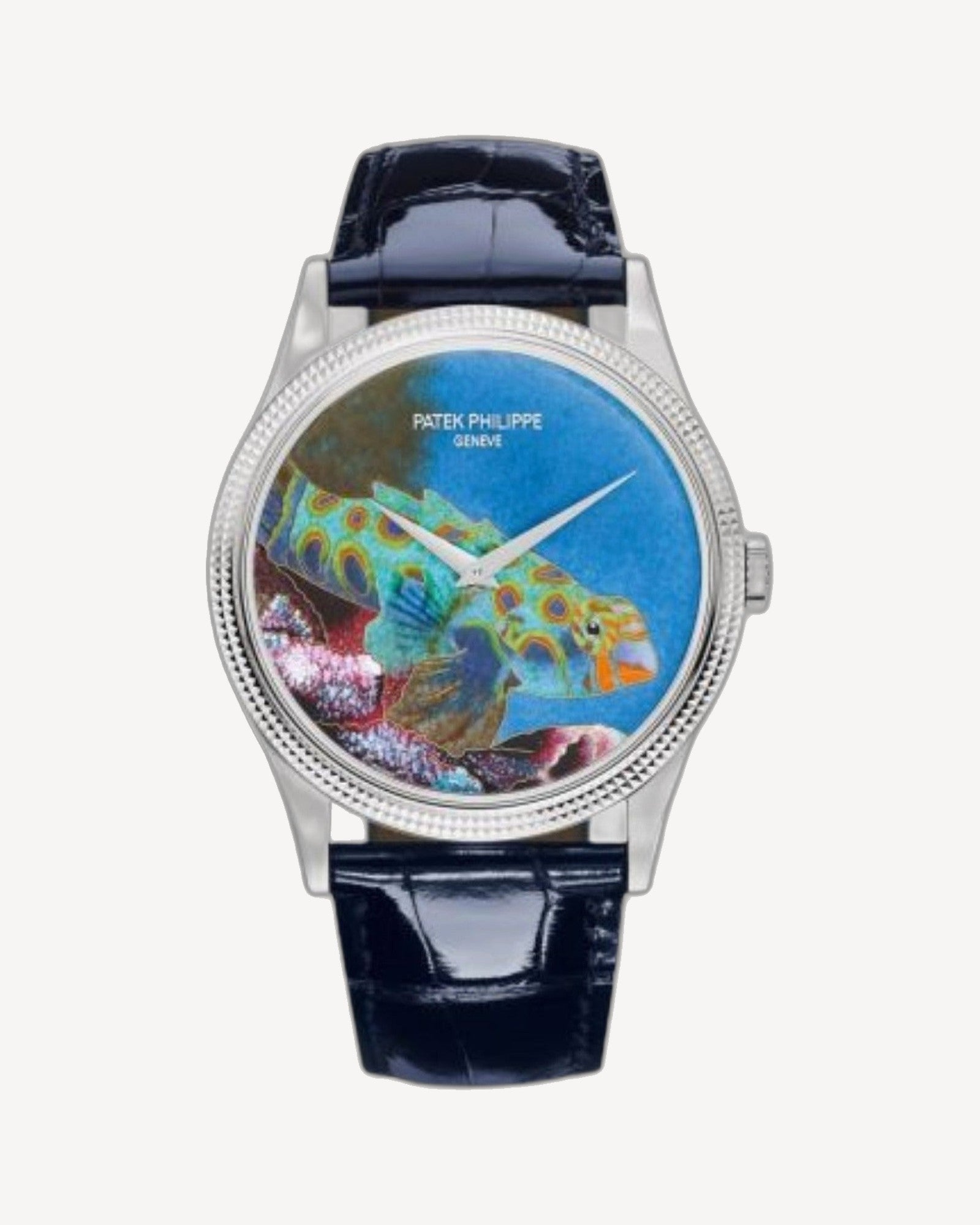 Patek Philippe Calatrava 5177G-013 Rare Handcrafts “Italian Scenes / Tropical Fish“ Enamel
